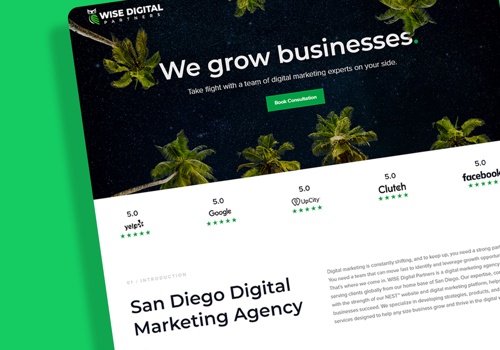 wise digital partners website